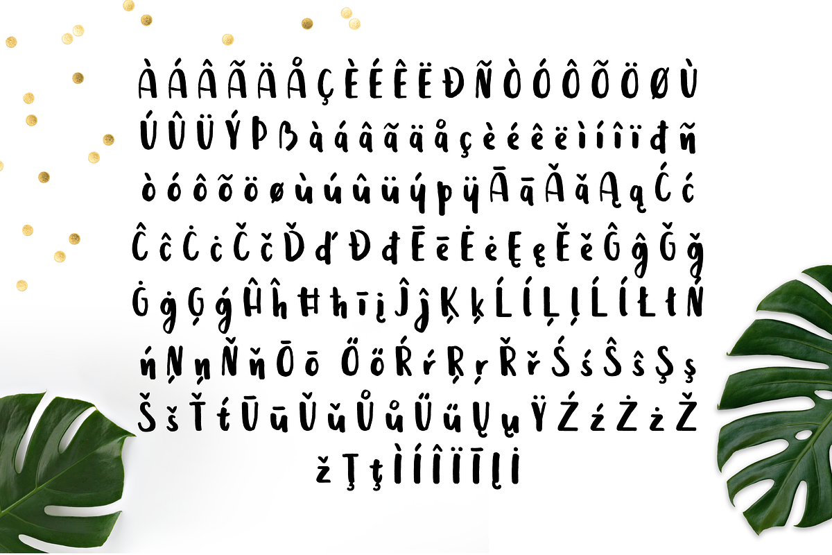 Leira Extended Hand Drawn Brush Font preview 7