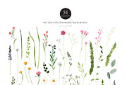 Watercolor flower -Wild flower, an Illustration by Beigetime (Thumbnail 5 of 9)