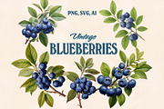 Vintage Fruit & Berry Bundle PNG SVG, a Food Illustration by Marie T (Thumbnail 12 of 17)