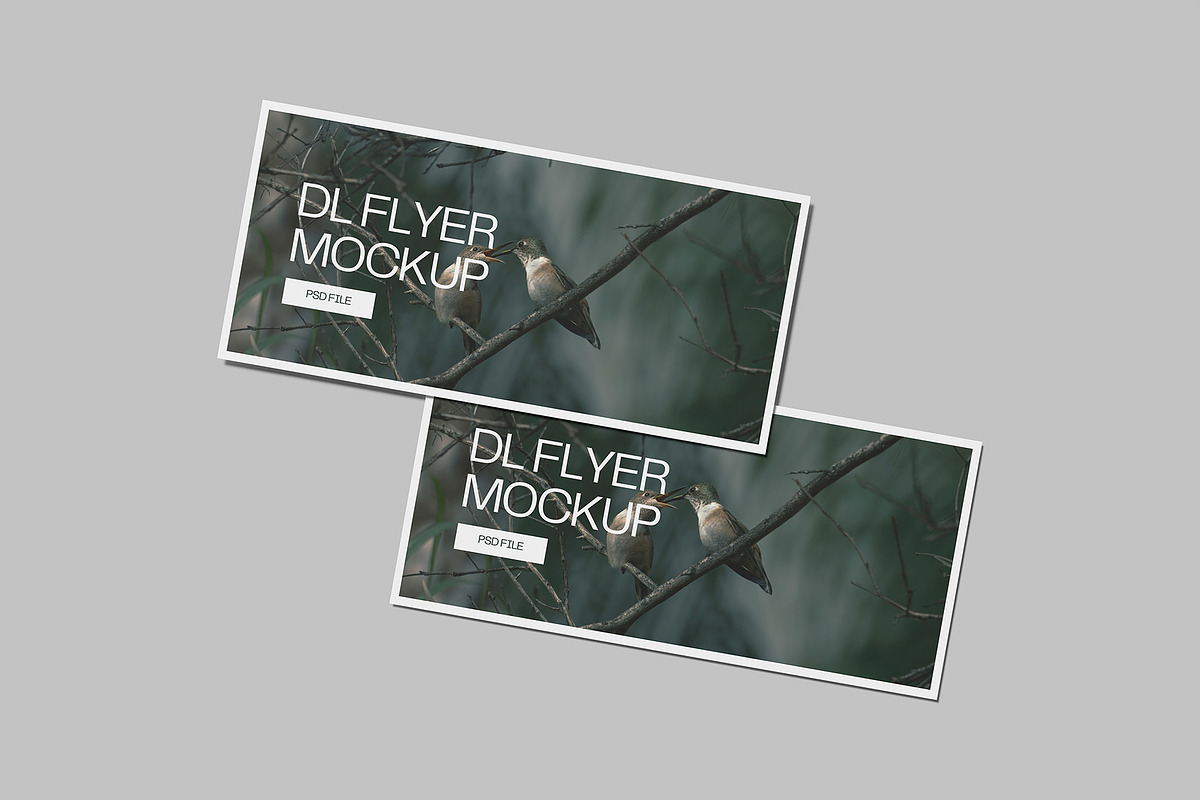 Landscape DL Flyer Mockup, a Print Template by Graphiculon (Photo 7 of 13)