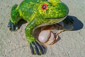 Playful frog sculpture under bright sunlight, an Animal Photo by DanFLCreativo