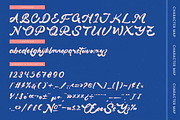 Smuthe Chilly Bold Calligraphy Font, a Script Font by stylishtype.co (Thumbnail 18 of 20)