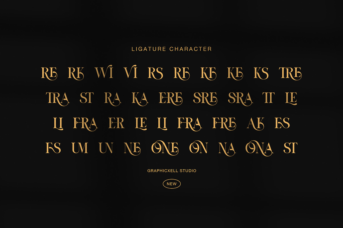 Vioner Elegant Luxury Serif Font, a Serif Font by Graphicxell (Photo 8 of 8)