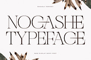 Nocashe New Display Serif Font, a Serif Font by Storytype Studio (Thumbnail 1 of 15)