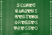 Ramblings Hand Crafted Western Font, a Serif Font by Madeline ODonoghue Design (Thumbnail 4 of 8)