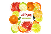 Set of watercolor citrus fruits, an Illustration by Elena Dorosh (Thumbnail 1 of 6)