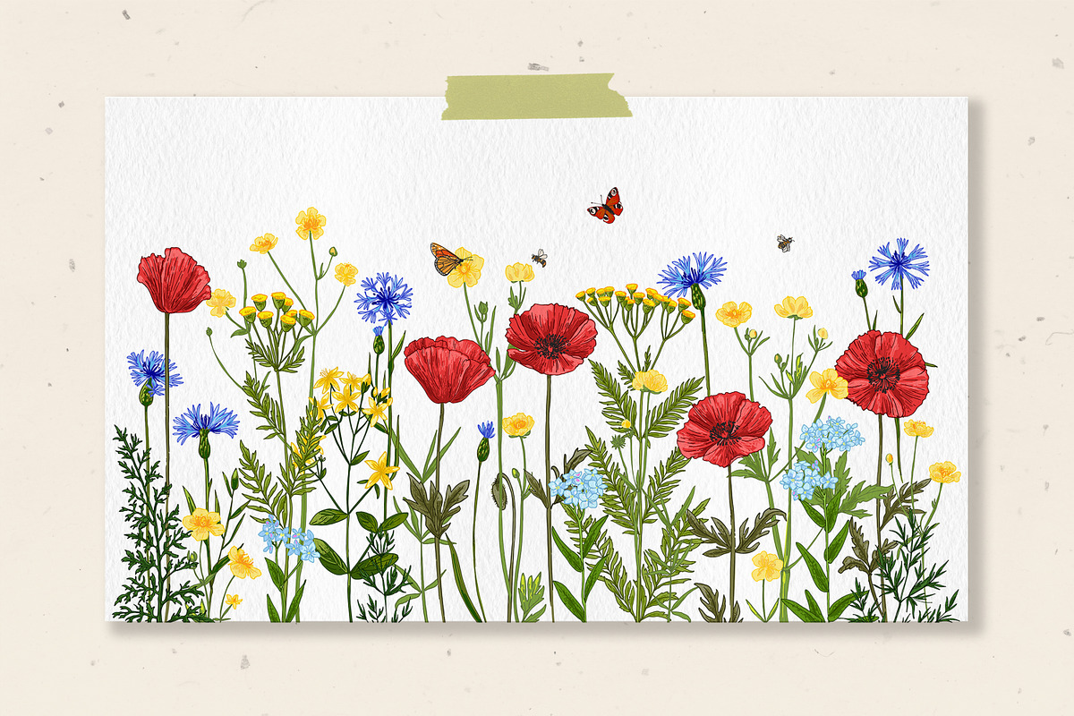 Wild herbs. Wildflowers in summer, a Decorative Illustration by irina.vaneeva (Photo 8 of 8)