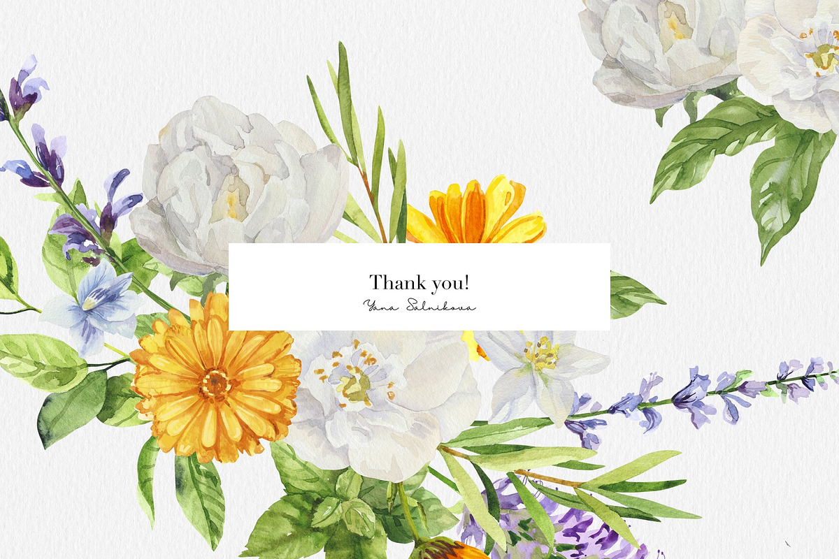 Essential Oils Botanical watercolor, a Healthcare Illustration by Volha Studio (Photo 11 of 11)