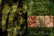Forest Imprint Botanical backgrounds, a Background Graphic by Yuliya Derbisheva (Thumbnail 1 of 11)