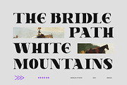 Greevil Display Font, a Serif Font by Damelev (Thumbnail 8 of 9)
