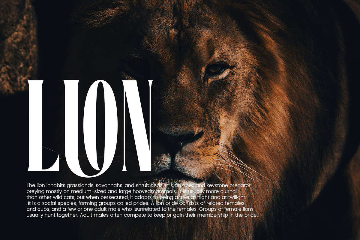 BETHAI - Modern Typface Serif, a Serif Font by AnnofaType (Photo 4 of 8)