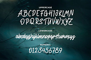 The End Story - Handwritten Font, a Script Font by Typefactoryco (Thumbnail 2 of 10)