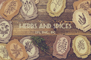 Herbs and spices. Vintage labels set, a Food Illustration by kateja (Thumbnail 1 of 8)