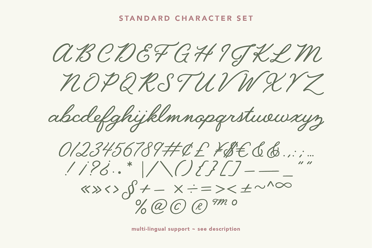Jullina - Handwriting Script Font, a Script Font by Danielle Eneh (Photo 5 of 13)