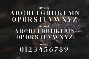 HILOND Modern Serif Typeface