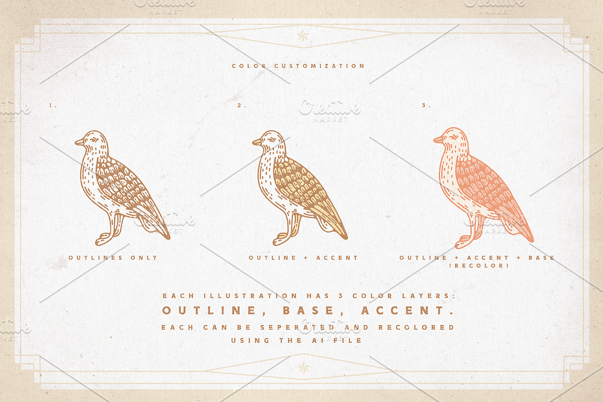 Nautical Vectors | Graphics Set, an Animal Illustration by GRPXSTORE (Photo 3 of 6)