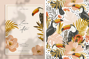 Tropical Story. Patterns Collection.