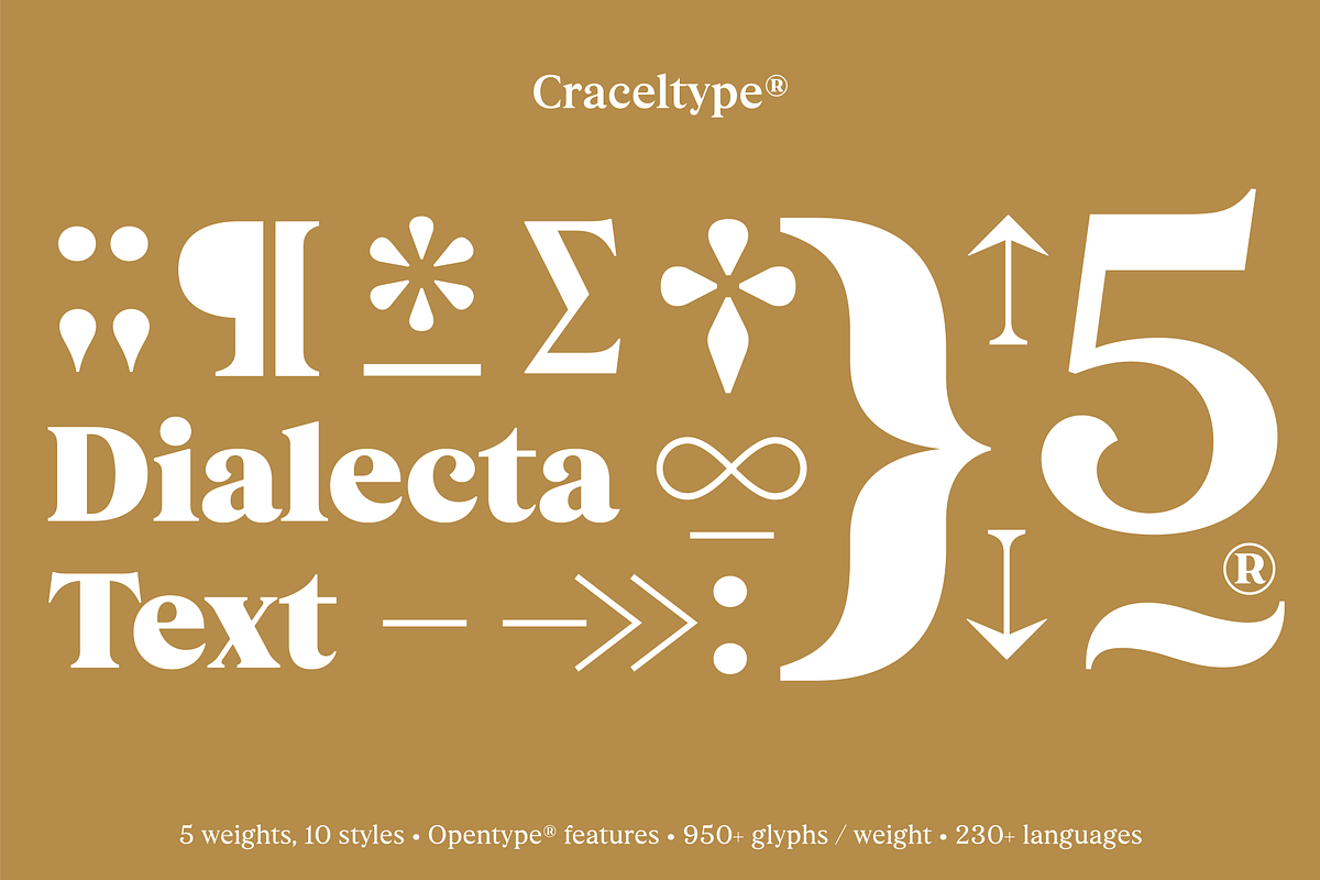 Dialecta Text, a Serif Font by Craceltype (Photo 5 of 9)