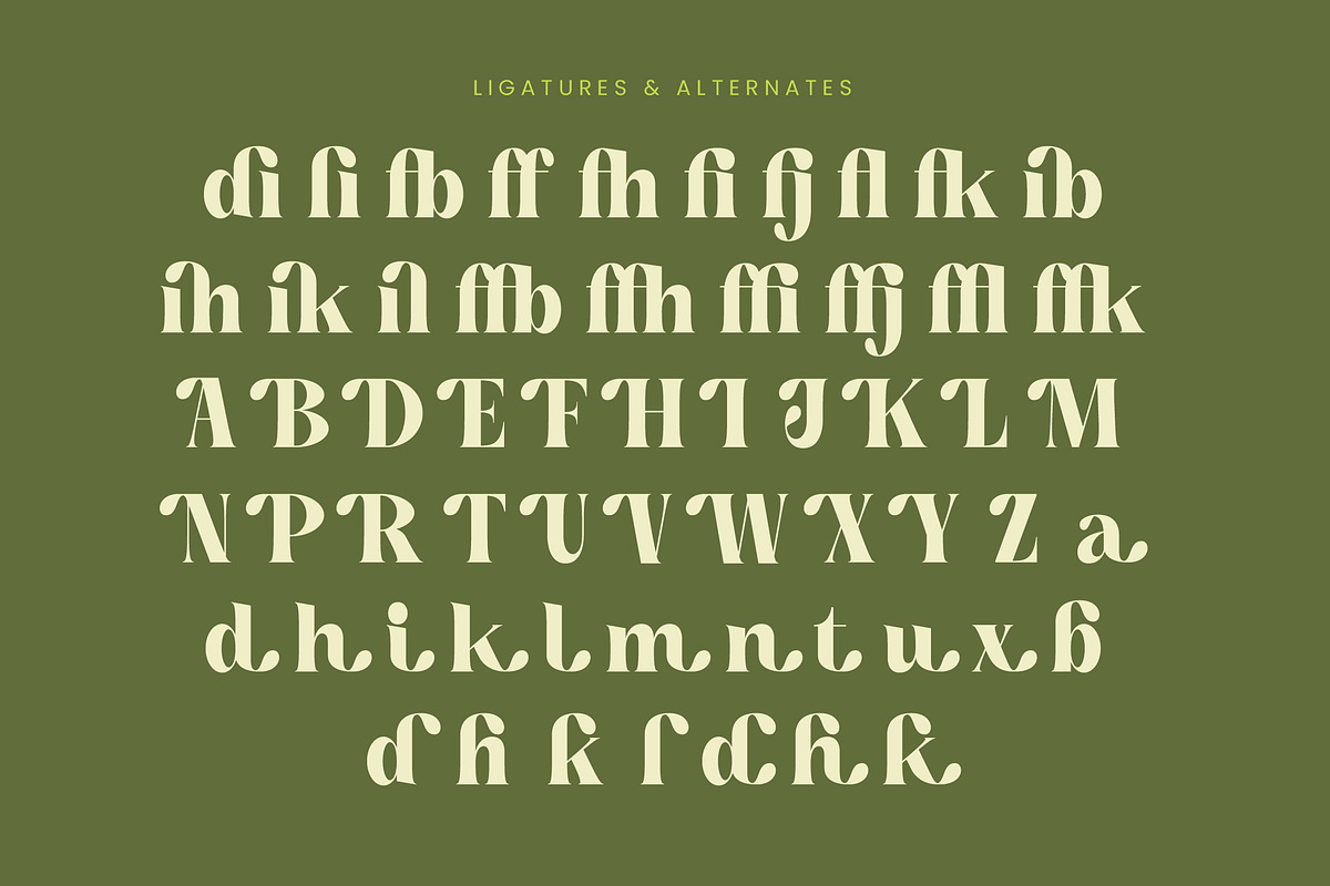 Buffery Reflika Modern Bold Serif, a Serif Font by timelesstype.co (Photo 18 of 20)