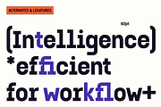 Gubera Mono - Bold Monospace Font, a Sans Serif Font by RagamKata (Thumbnail 2 of 10)