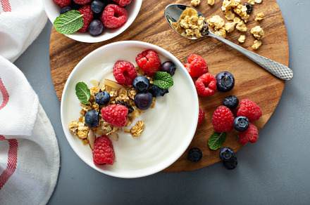 Plain yougurt with granola on side, a Food & Drink Photo by farwasser