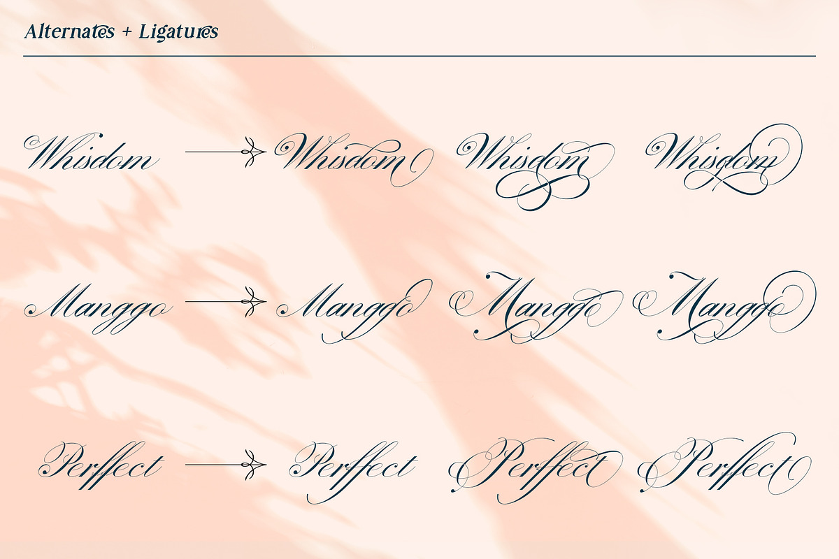 Prestissimo Classy (20% 0FF), a Script Font by Burntilldead (Photo 10 of 23)
