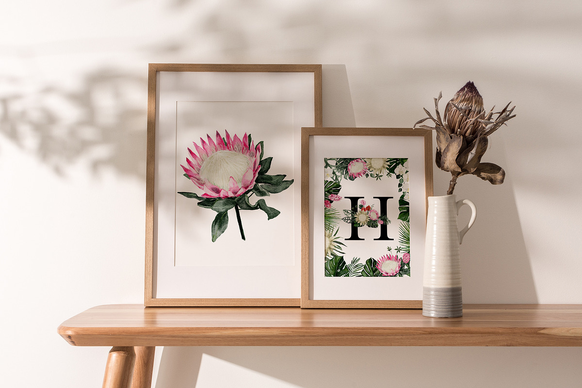 Protea - tropical collection, a Texture Illustration by Backyard Rose (Photo 17 of 22)