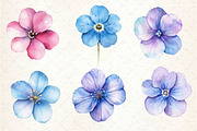 Forget Me Not Flower Bloom Clipart, an Illustration by Dream Creation (Thumbnail 4 of 5)