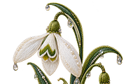 Beaded Snowdrop PNG, an Object Graphic by The Edit (Thumbnail 1 of 3)