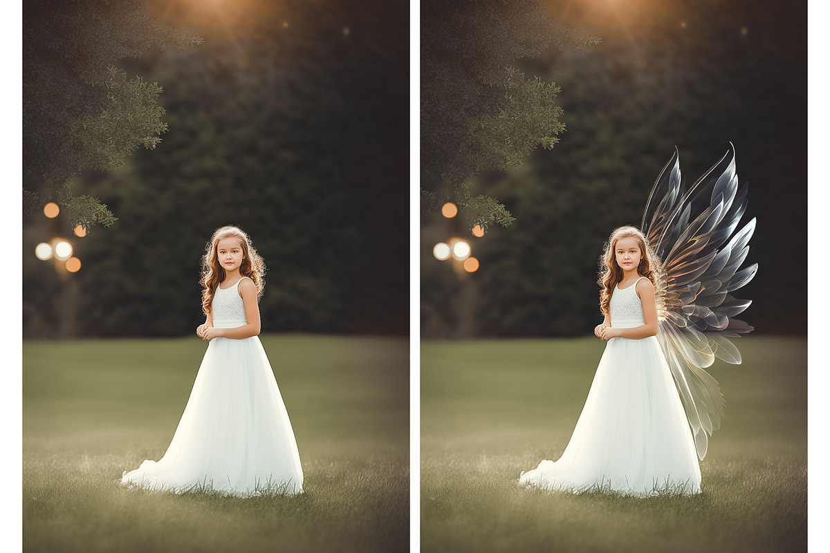 Angel Wings Overlays, a Photo by HappyNews (Photo 9 of 11)