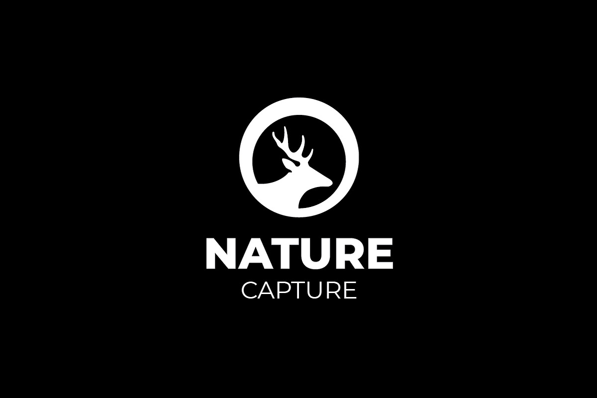 Wildlife Photography Deer Logo, a Branding & Logo Template by bvcreates (Photo 6 of 6)