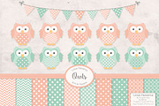 Mint & Peach Owl Clipart & Papers, an Animal Illustration by Amanda Ilkov (Thumbnail 1 of 3)