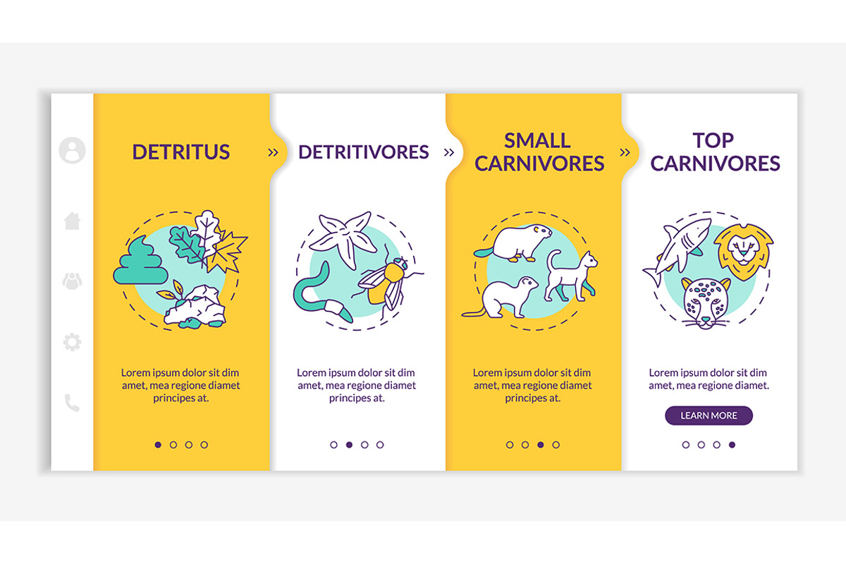 Detritus food chain web pages, a Templates & Theme by IMG Visuals