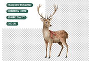 Forest Deer Watercolor Clipart, an Illustration by TatiMockup (Thumbnail 5 of 5)