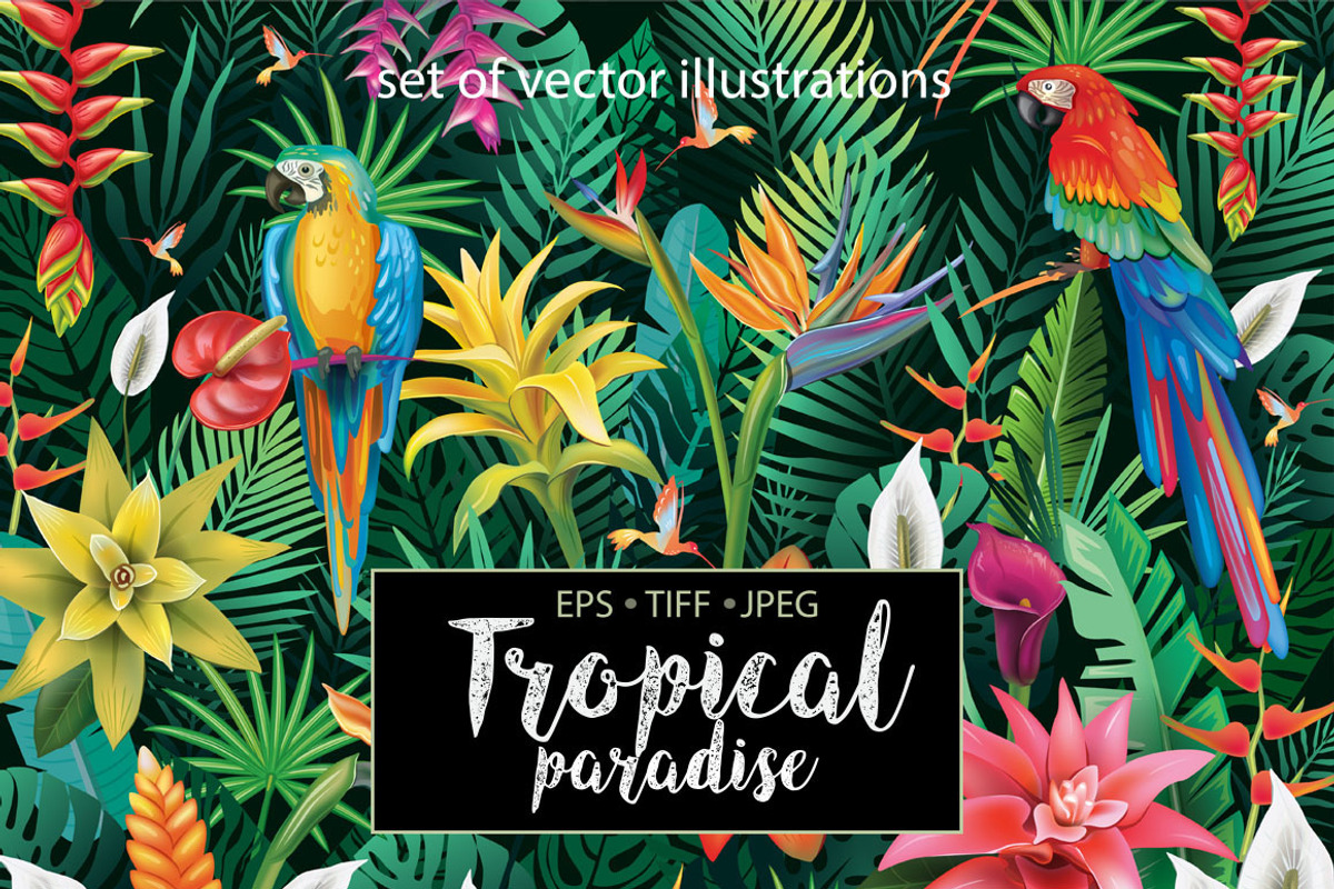 Tropical Paradise, a Decorative Illustration by ViktoriaARTprint (Photo 1 of 8)