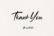 Sage Falcone Brush Font, a Script Font by Basnistudio (Thumbnail 5 of 6)