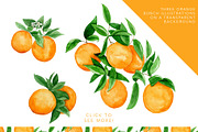Juicy Watercolor Orange Collection, an Illustration by One and Only Paper (Thumbnail 3 of 8)