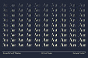 Bonarchi - Family Font, a Serif Font by Rastype (Thumbnail 9 of 10)