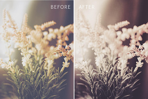 20 Moody Lightroom Presets Pack