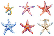 Starfish Watercolor Clipart Bundle, an Illustration by Pixels.Craft (Thumbnail 4 of 8)