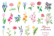 Blooming flowers watercolor clipart., an Illustration by SabinaWatercolorArt (Thumbnail 2 of 8)