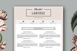 3 Page Resume Template For MS Word