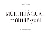 Elonade - Classic Serif Display Font, a Serif Font by Vesvocrea (Thumbnail 9 of 11)