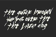 Fake Plastic | Handpainted Brush, a Handwritten Font by Ardana Creative (Thumbnail 11 of 14)