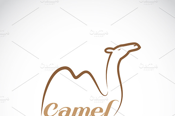 Vector Image Of An Camel Design