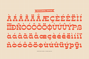 O_Feel | Slab Serif Font, a Slab Serif Font by Denustudios (Thumbnail 12 of 12)
