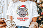 Hippopotamus Funny Christmas, an Illustration by Libby Wishes (Thumbnail 4 of 5)