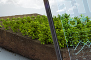 Digital or online farming concept, a Technology Illustration by Nomad (Thumbnail 2 of 4)