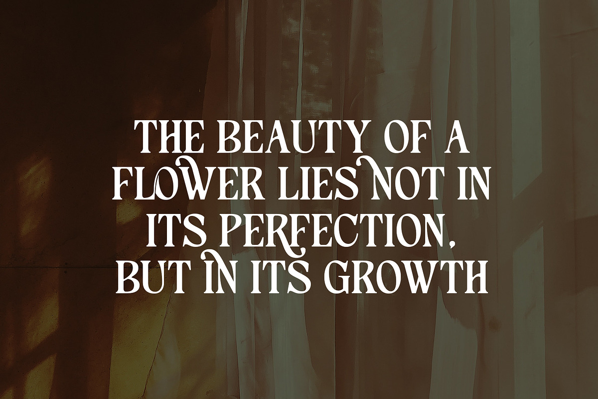 Gilgans Classic Serif Typeface, a Serif Font by Violet Natural (Photo 4 of 8)