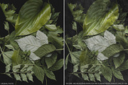 Fine Art Acrylic Paint Textures, a Texture Graphic by CatJello Graphics (Thumbnail 37 of 38)